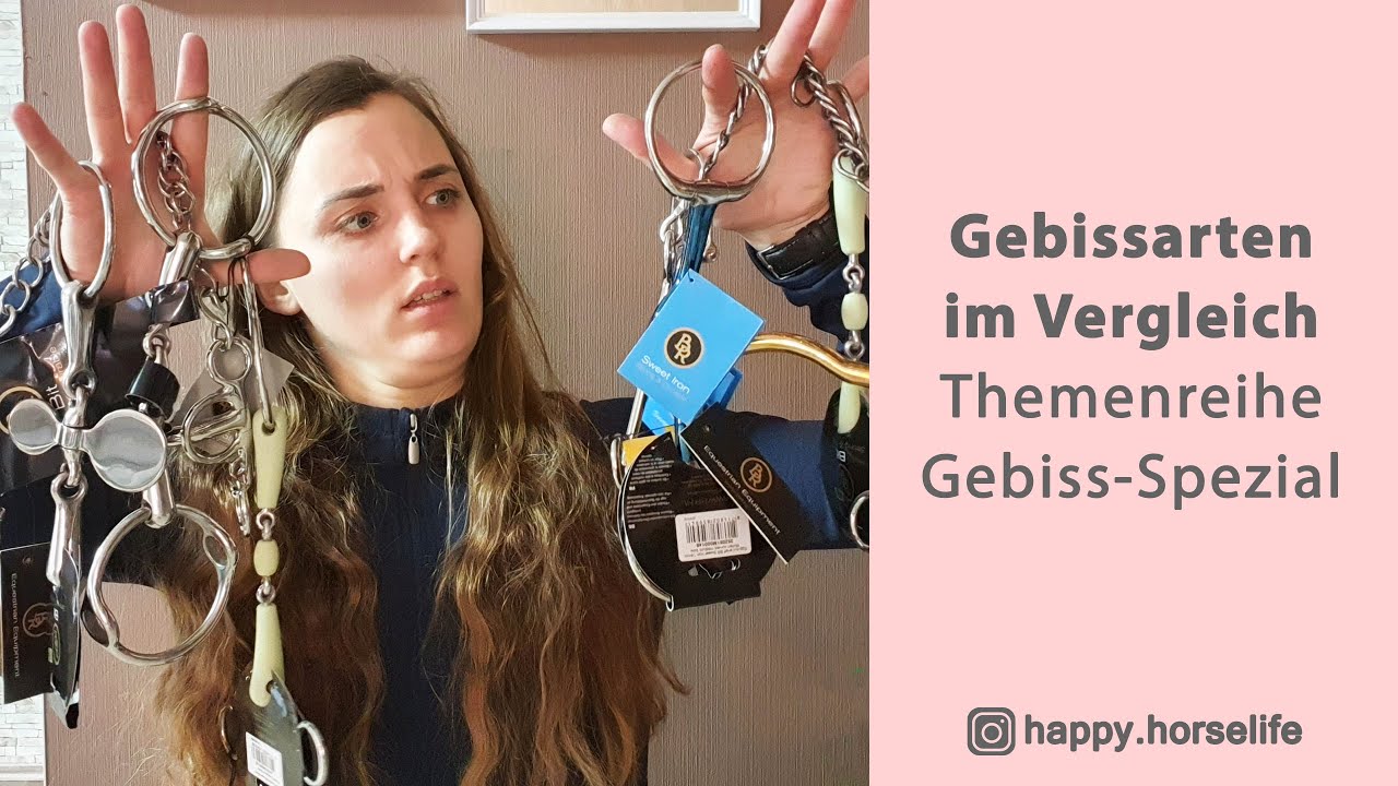 Gebissarten im Vergleich | Wirkung und Einsatz | Wassertrense, Olivenkopf, D-Ring, Kandare uvm.