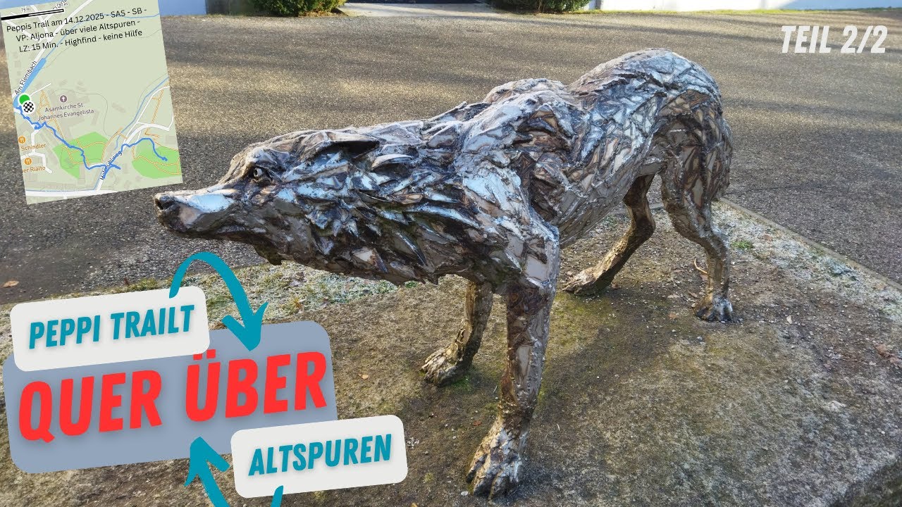 Mantrailing - Da kommt was von oben! Teil 2 #peppitheworkingcocker #frompuppytopro #mantrailing