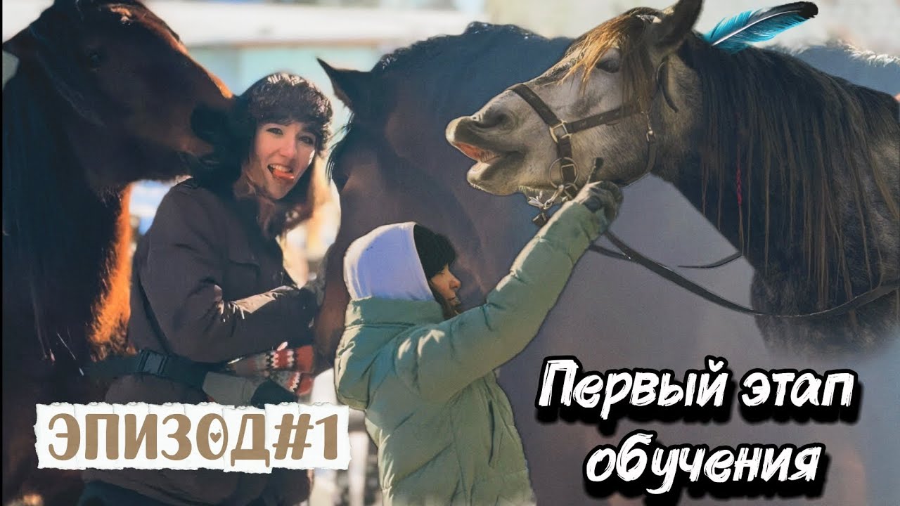 ОБУЧЕНИЕ МОЛОДЫХ лошадей | КАКИЕ у нас УЗДЕЧКИ? | И что умеют наши ЛЮБИМЫЕ лошади