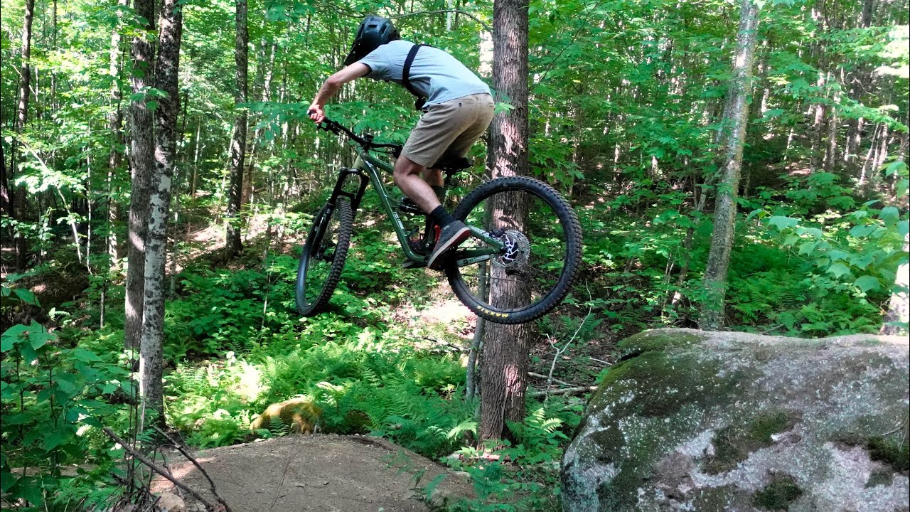 Stormin’ Norman And Black Bear At East Haven, Vermont | Kingdom Trails