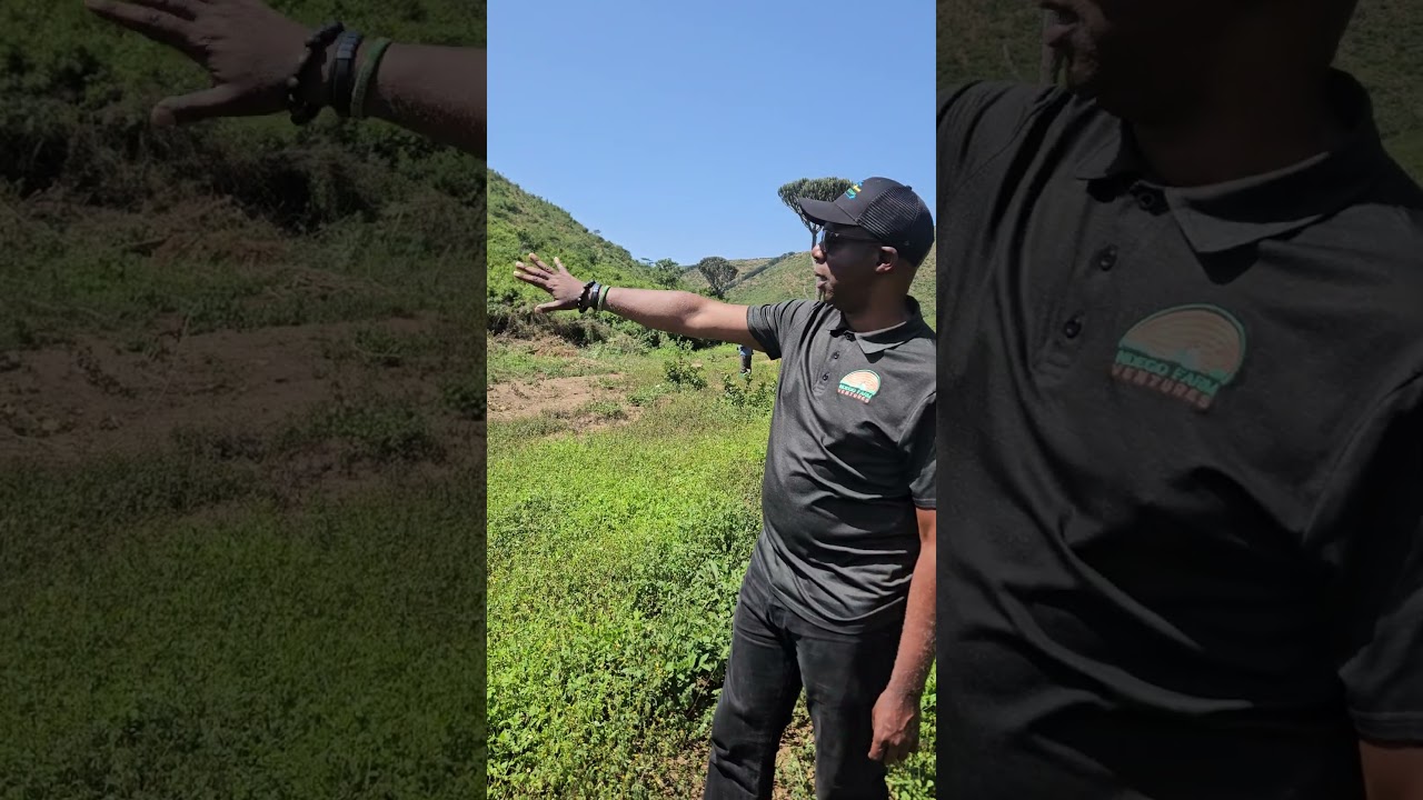 Building a new goat house at Kava Juru Farms in Rwanda. 