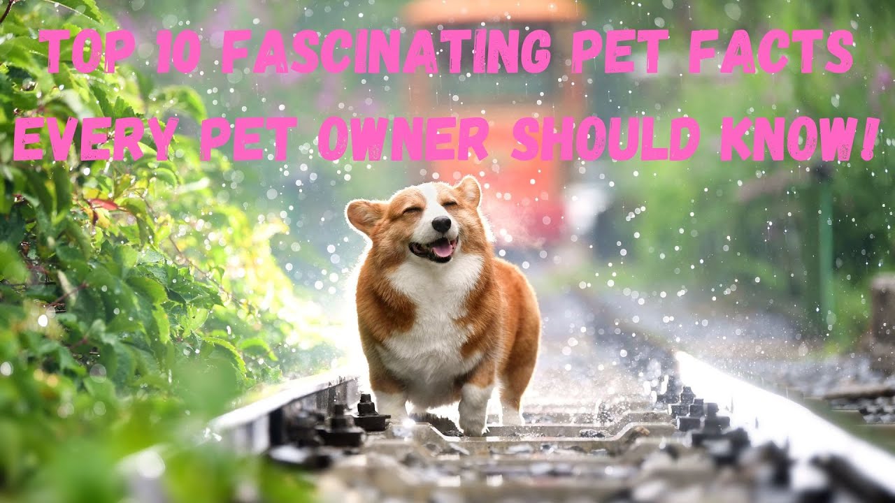 Top 10 Fascinating Pet Facts Every Pet Owner Should Know!