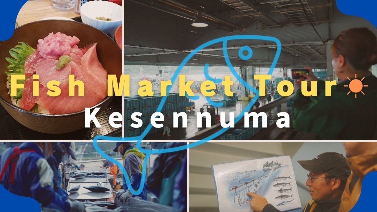 Kesennuma Morning Fish Market Tour