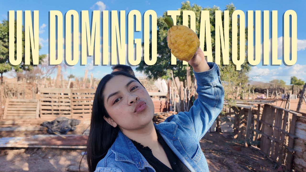 ASÍ SE VIVIÓ NUESTRO DOMINGO | FE, FAMILIA Y HOGAR 