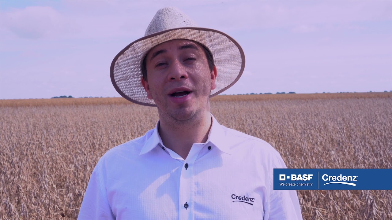 Colheita soja Leonardo - BASF