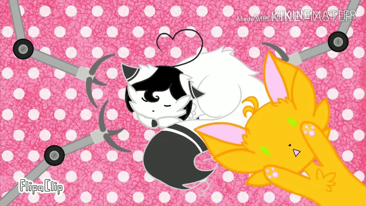 Top 5 masters ROBO KITTY