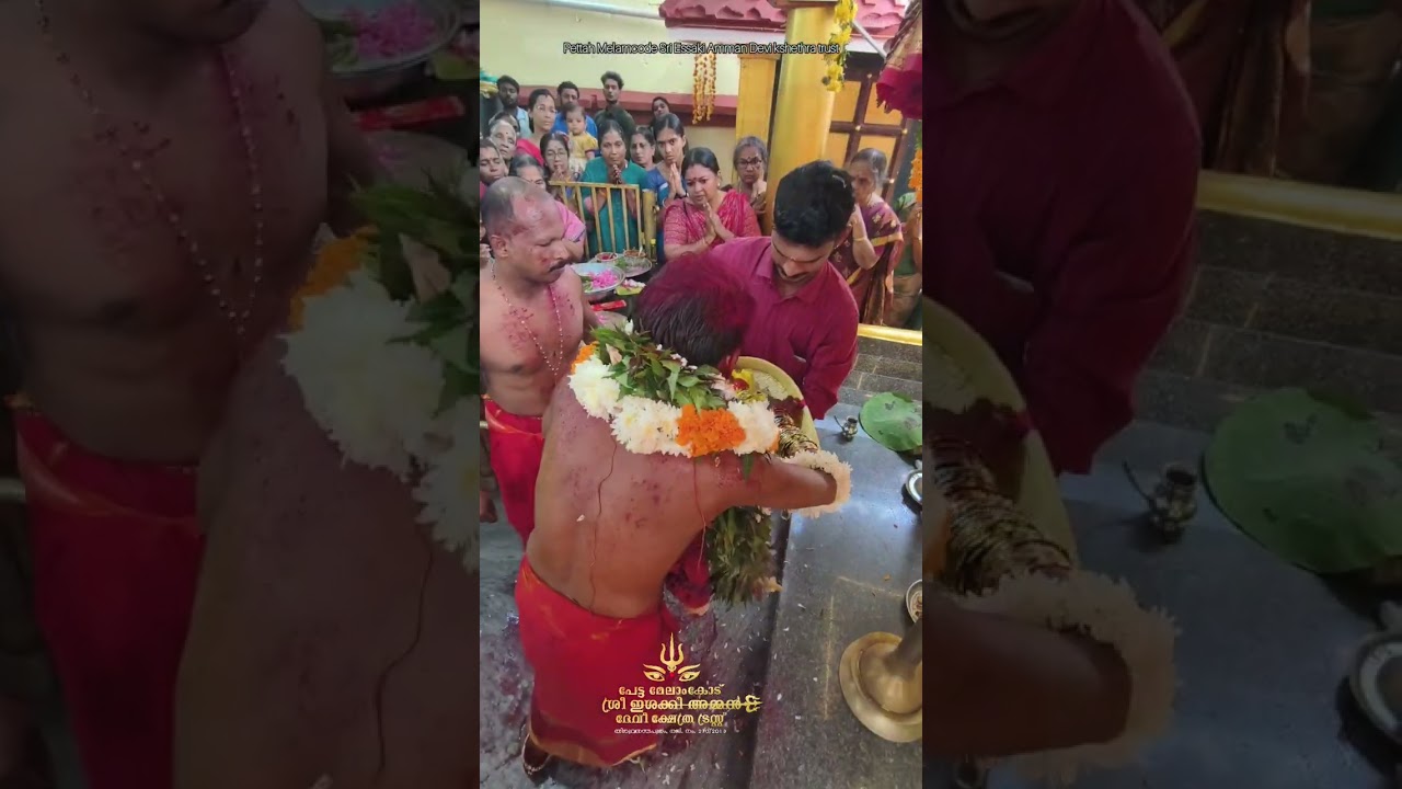 😇🙏🏻ആടി മൂന്നാം ചൊവ്വ ഉച്ചകാല പൂജ അന്നപടപ്പ് വേളയിൽ നീലി അമ്മയുടെ ദർശനവും അന്നദാനവും 
