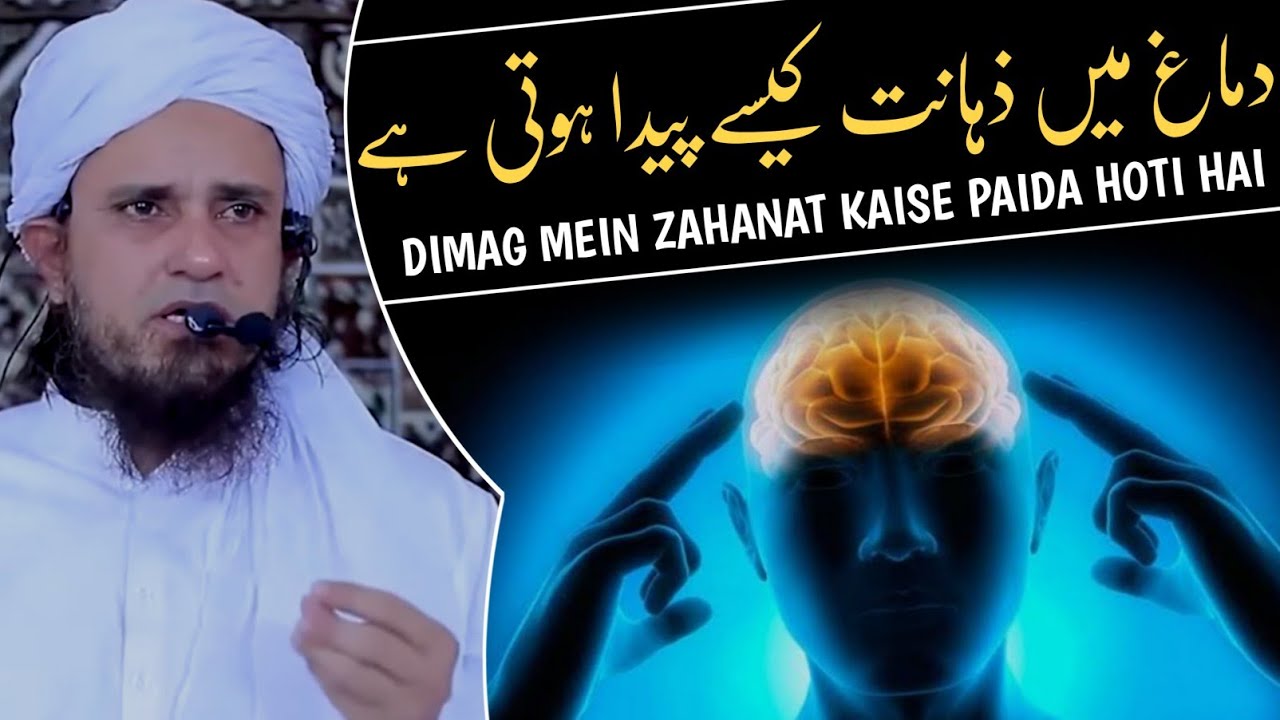 Как в уме зарождается мудрость | Муфтий Тарик Масуд | @islamicResearchAbdulQadir