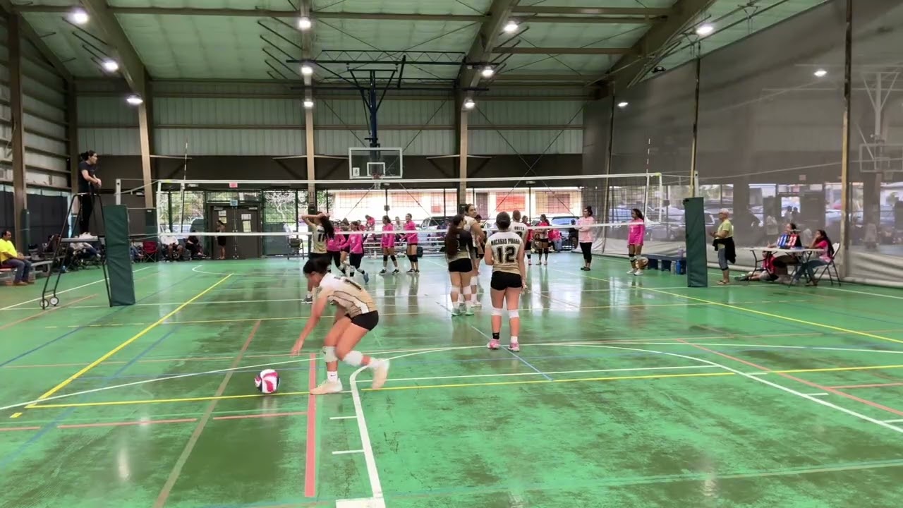 MOK LV vs Pio’pio Bears 2026