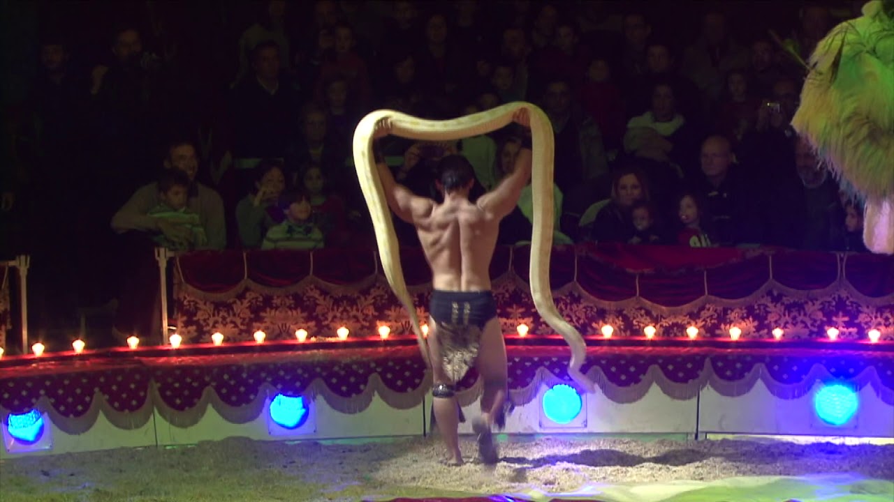 le magiche atmosfere del Circo Darix Togni