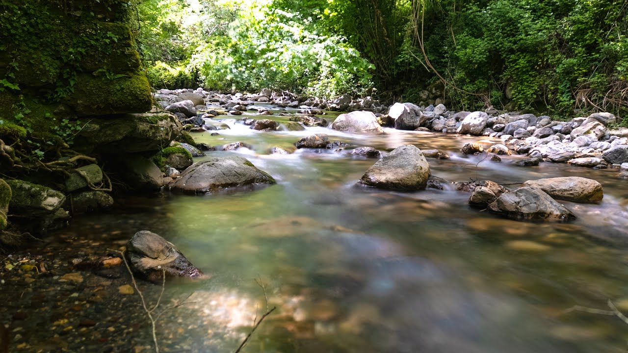 Momenti pacifici con il suono dell'acqua 