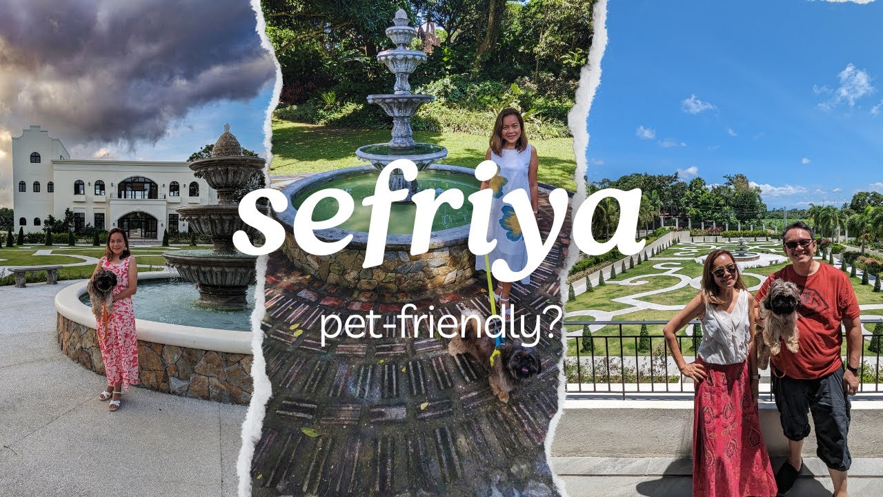 Instagrammable and Pet-Friendly Secrets of Sefriya Farm & Orchard!