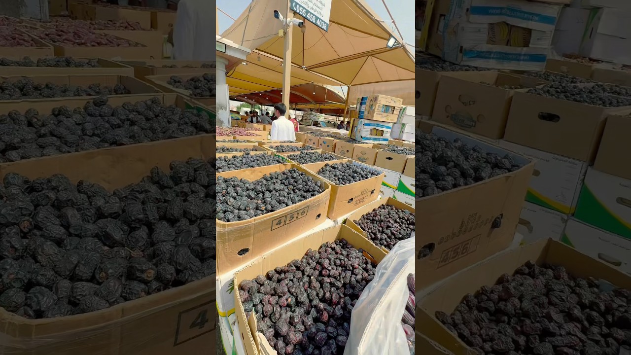Madina Dates Market | Khajoor only 1 Riyal per Kg 🌴 #zahoormarth