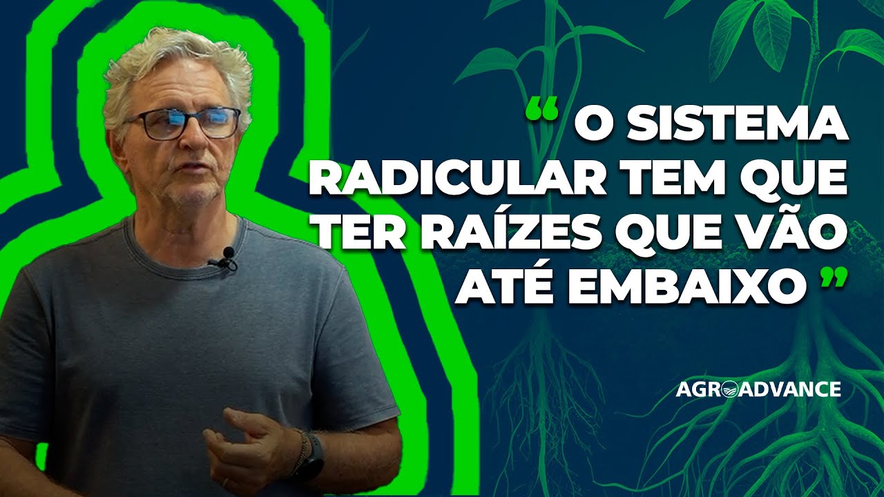 Sistema Radicular Ideal - Professor Paulo Mazzafera