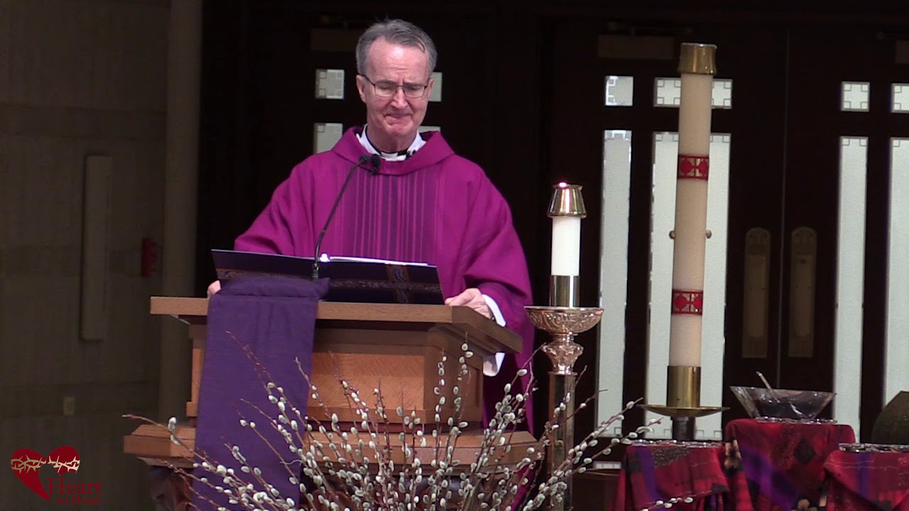 Video Homily - Pope Francis’ Lenten Message: Pause, Look, and Return.