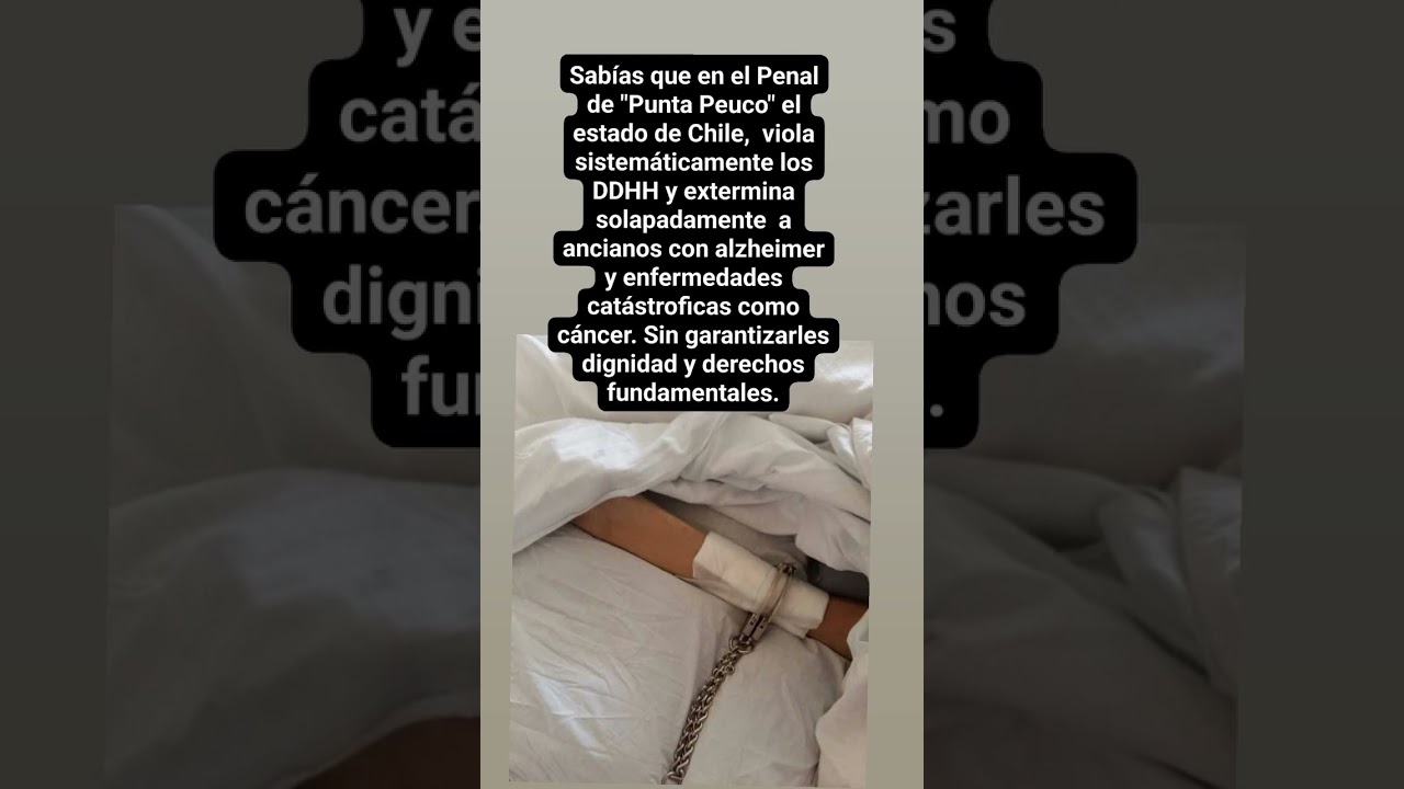 #chile #historia #puntapeuco #ddhh