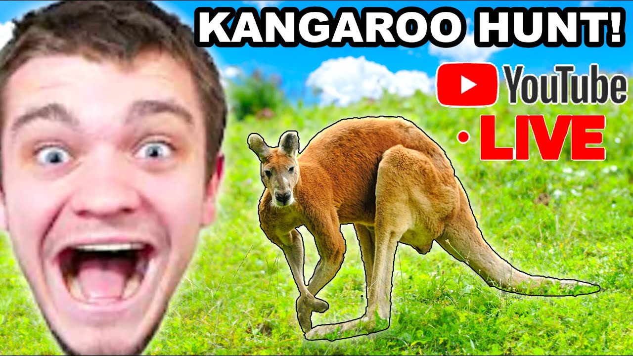 Hunting Down Kangaroos in Australia! (Livestream)