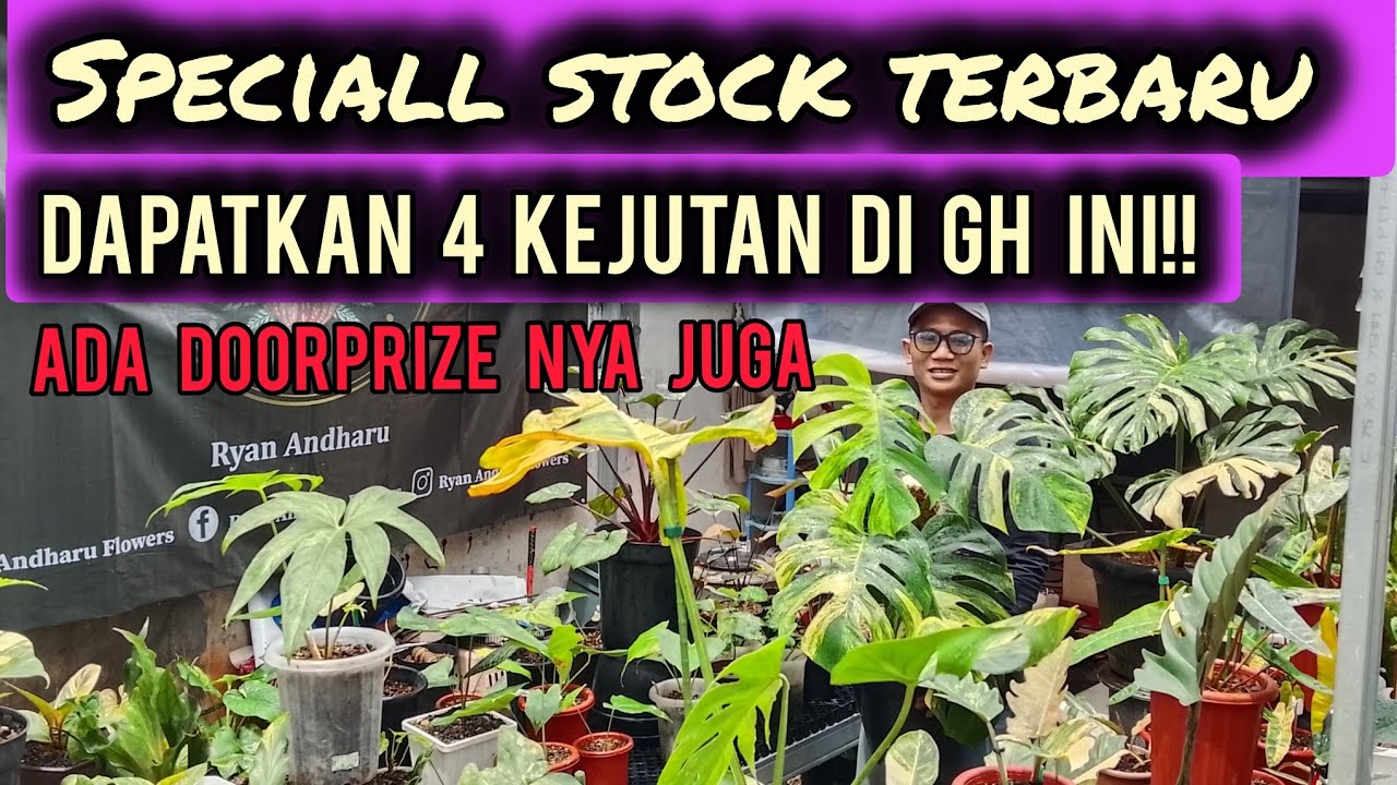 SPECIAL STOCK TERBARU‼️DAPATKAN 4 KEJUTAN DI GH INI ADA DOORPRIZE NYA JUGA
