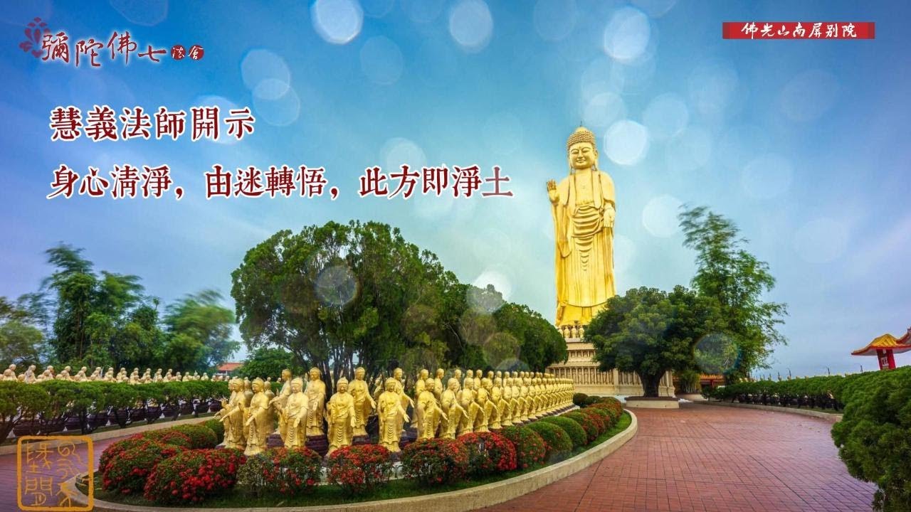慧義法師開示💫2025彌陀佛七法會✨身心清淨，由迷轉悟，此方即淨土
