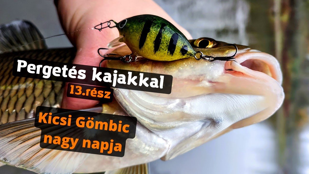 Pergetés kajakkal 13.rész - Kicsi Gömbic nagy napja.