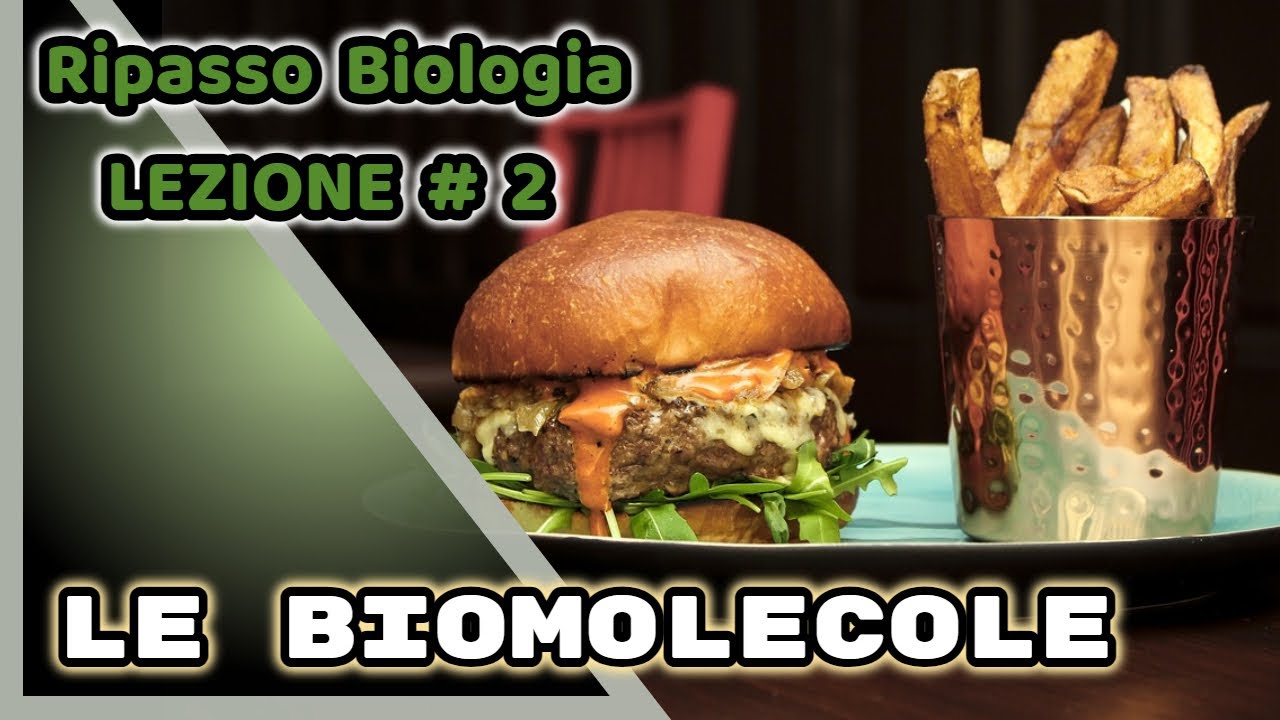 Ripasso per Test Professioni Sanitarie - Maturità -  Medicina: Le Biomolecole #2