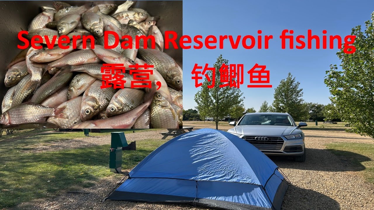 在 Severn Dam Reservoir，露营， 钓大鲫鱼；鲫鱼太多，刚放下去就咬钩/Camping and fishing at Severn Dam Reservoir