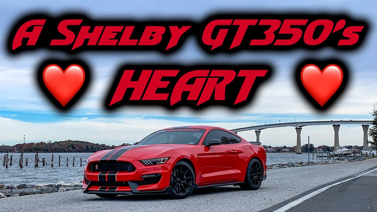 How To: Oil Pump Gears on a GT350 Install