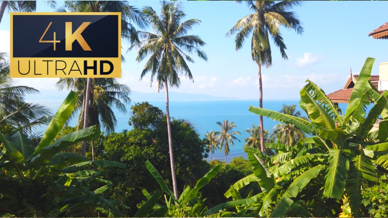 4K Koh Phangan Scneric Costline Tour on Motorbike Part 1: Baan Tai - Thong Sala FULL RIDE, Thailand