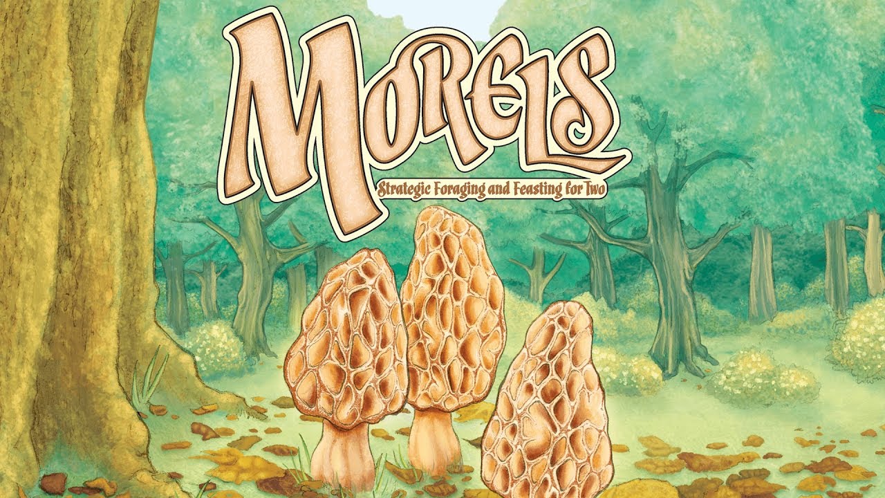 Morels - Gameplay Android et iOS (iPhone / iPad) par KickMyGeek