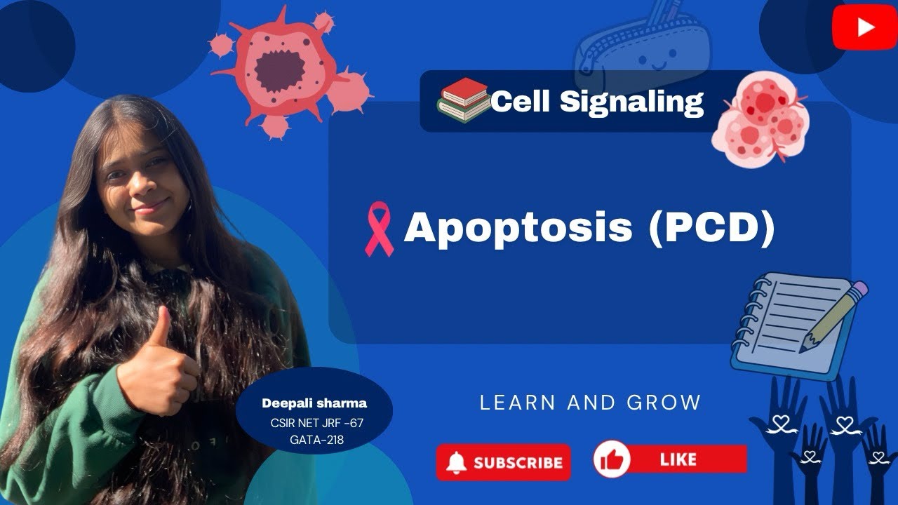 Apoptosis (PCD) and it’s Pathways| Apoptosis vs Necrosis| #csirnet #csirnetlifescience #gatexl