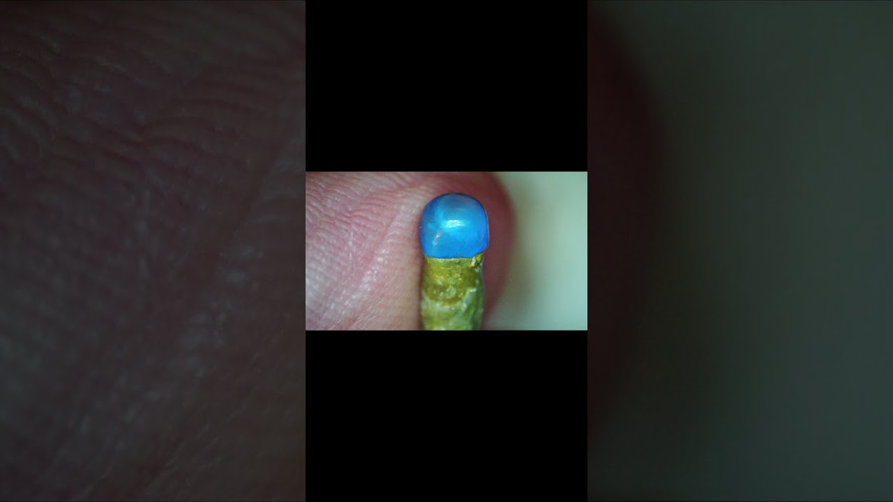 MOJ: stone 216 reached 1000 views! #crystals #opal #editingsoftware #gems #uncutopal