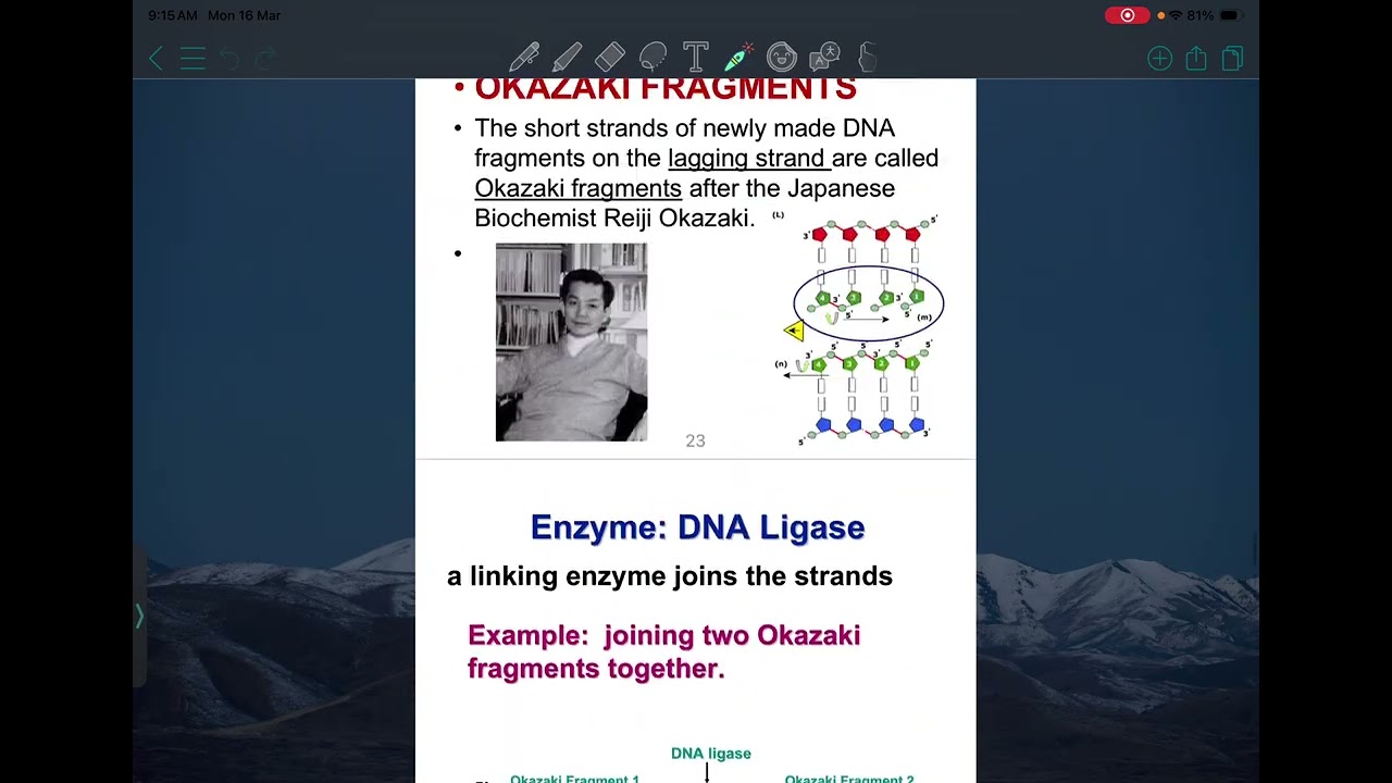 Genetics: Lecture 11