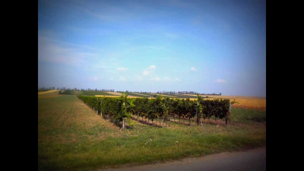SKA Zicksee.wmv