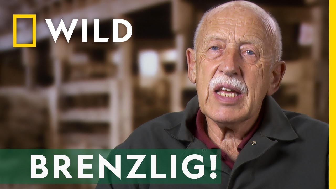 Kuh in großer Not! | Der Unglaubliche Dr. Pol