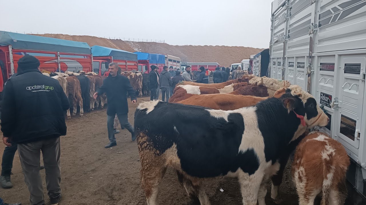 KIRIKKALE HAYVAN PAZARI PART 2/ANİMAL MARKET TURKEY