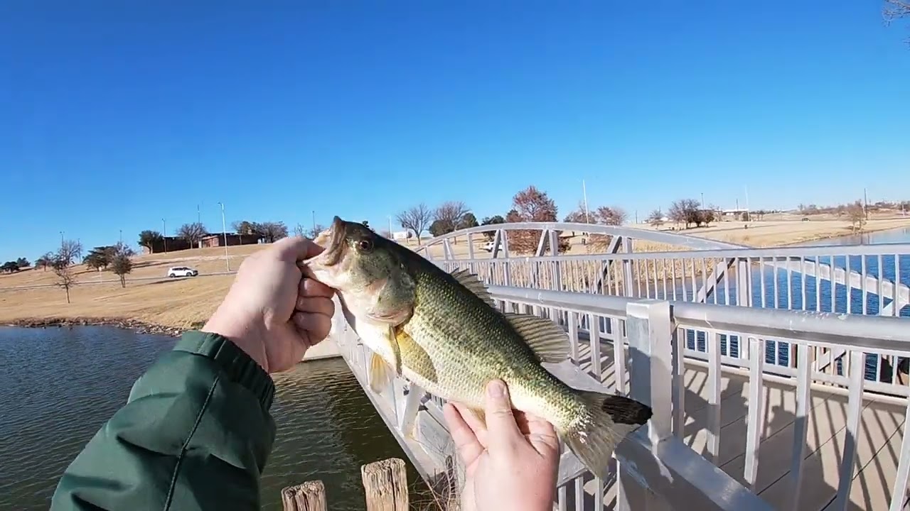 BIG Bass SLAMS My Lure! #fishing #bassfishing #crappiefishing 