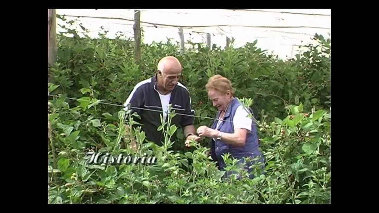 ITALBRAZ - Frutas Especiais - INSTITUCIONAL 2012