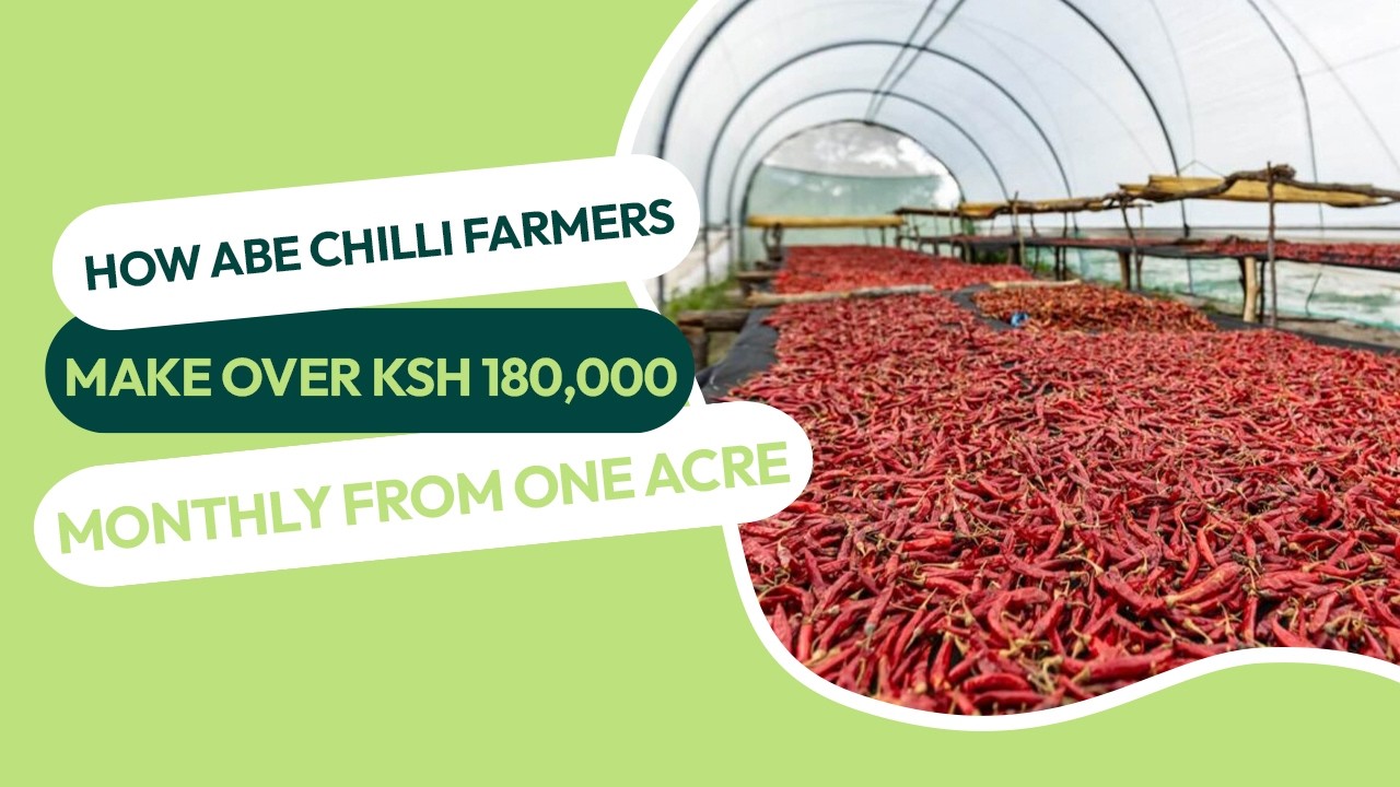 HOW FARMERS MAKE OVER KSH 180,000 MONTHLY FROM ONE ACRE