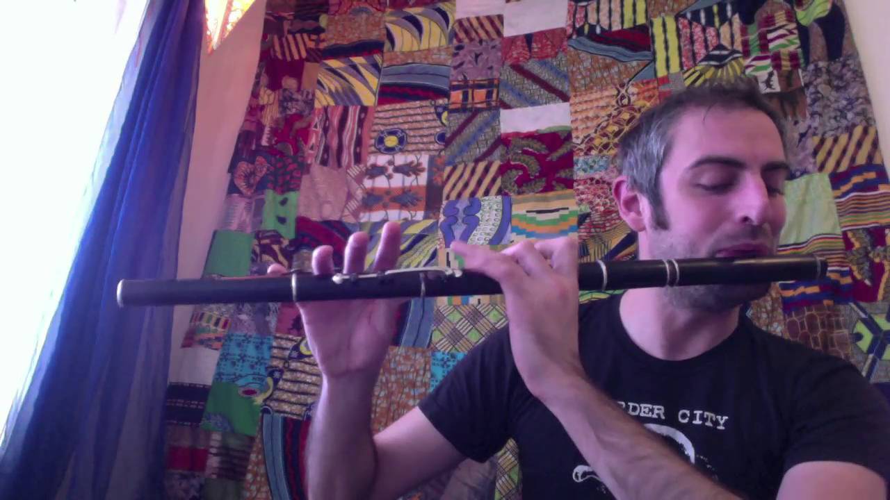 The Gravel Walks - Irish Flute - slow/fast