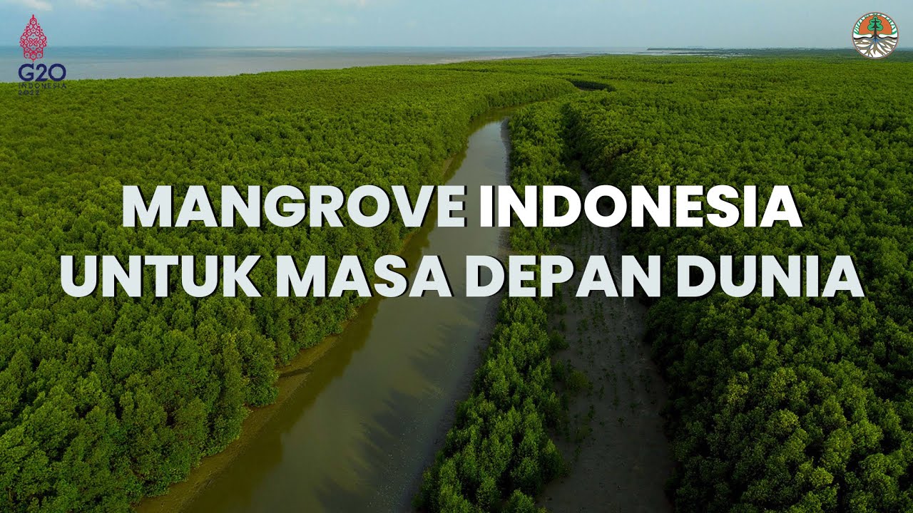 Mangrove Indonesia Untuk Dunia