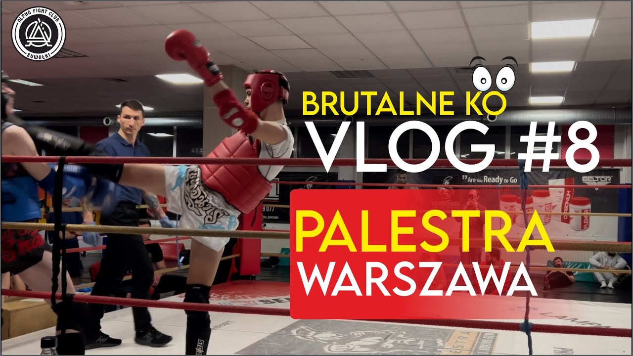 ALPHA VLOG #8 - Brutalne KO ! Liga PALESTRA WARSZAWA Muay Thai & Boks