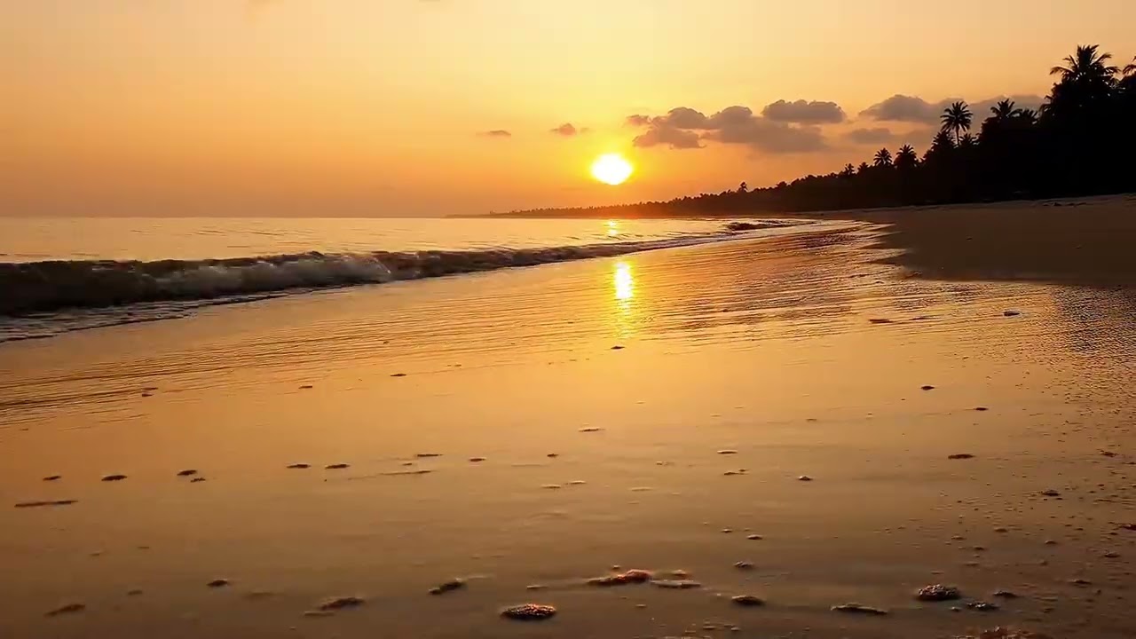Lo-Fi Piano & Ocean Waves 🌊 Chill Beach Music for Relax, Study & Sleep