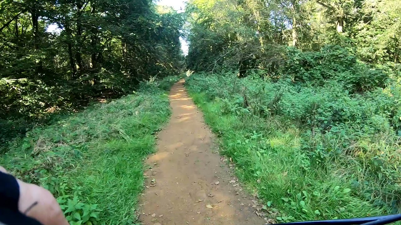 Pods Woods Tiptree Essex