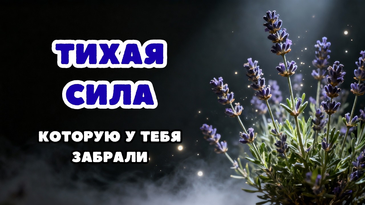 Лаванда: растение, которое возвращает тишину внутри