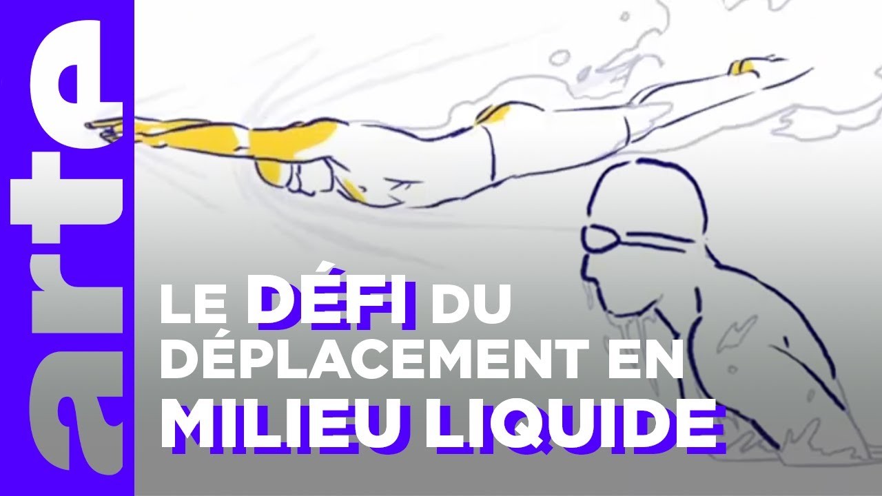 La natation et la trainée | Culture physique | ARTE