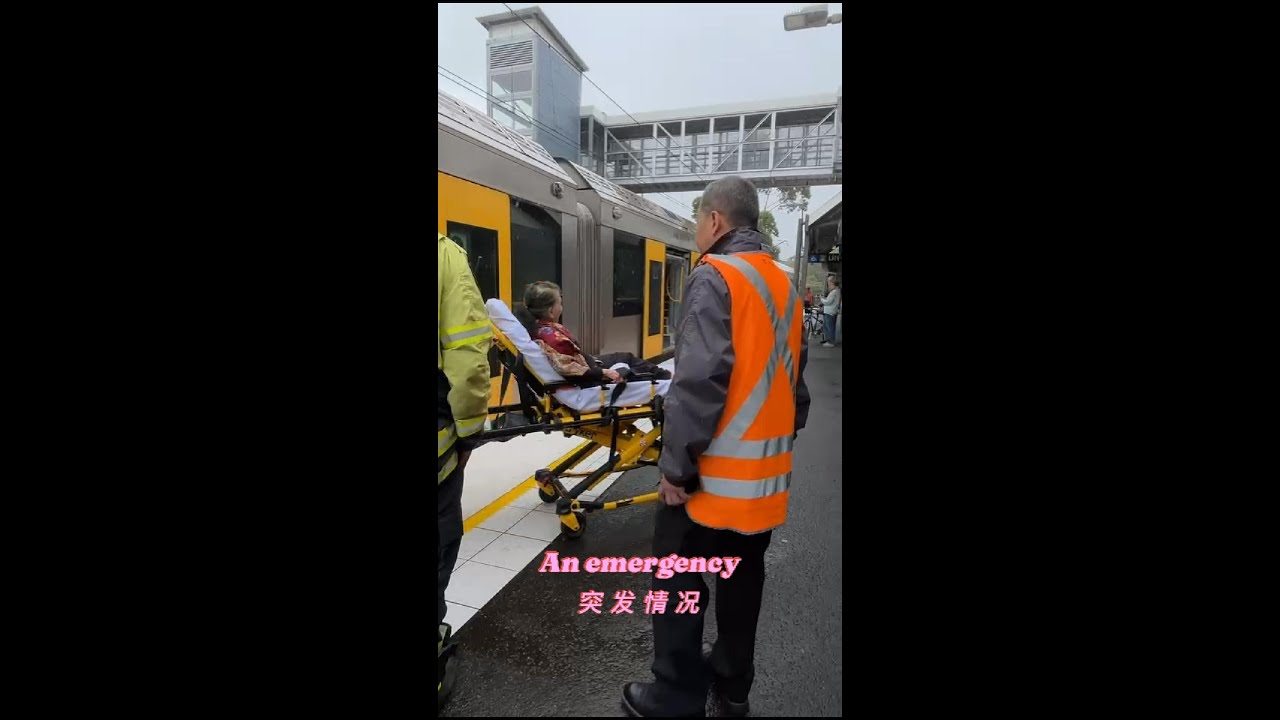 #daily#Sydney#train#emergency