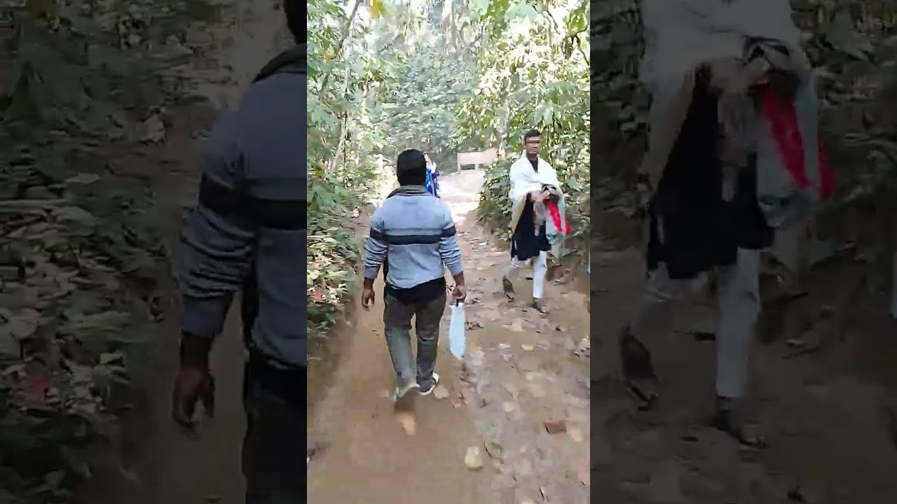 লাউয়াছড়া জাতীয় উদ্যান ভ্রমণ- কমলগঞ্জ উপজেলা, মৌলভীবাজার