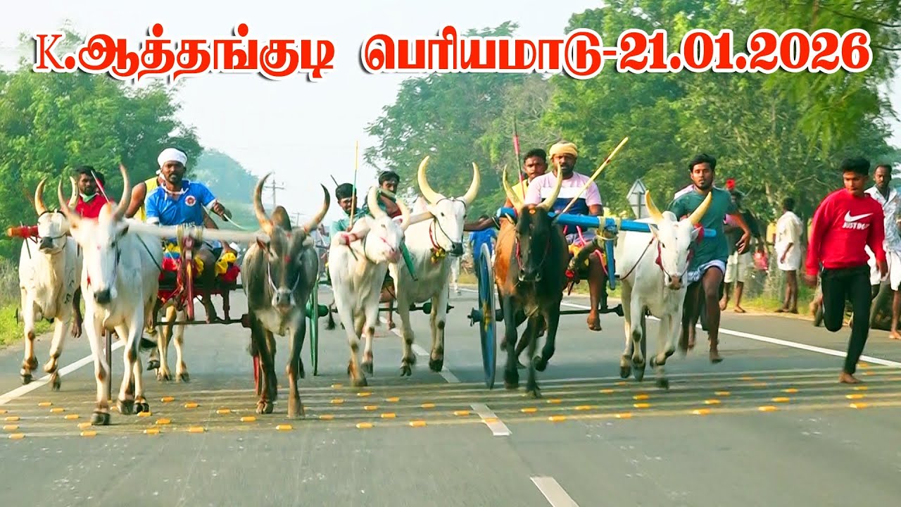 K. ஆத்தங்குடி பெரிய மாடு-  2026