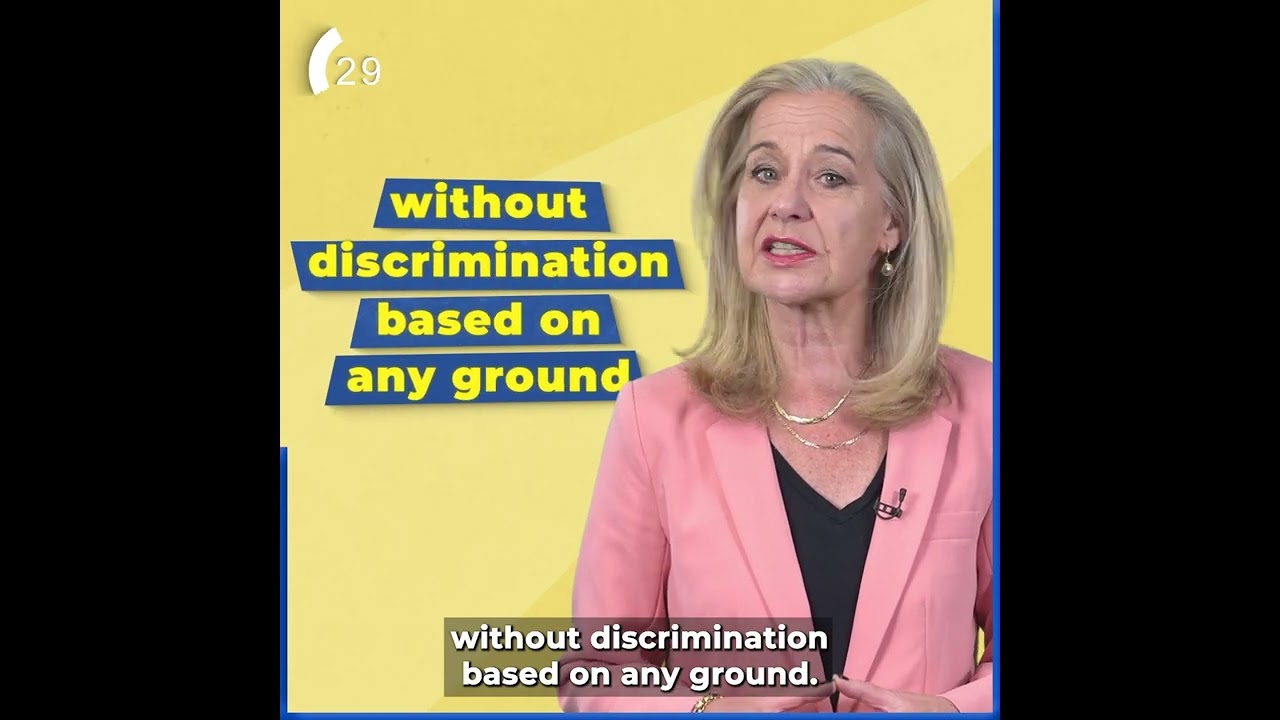 EEAS diversity video