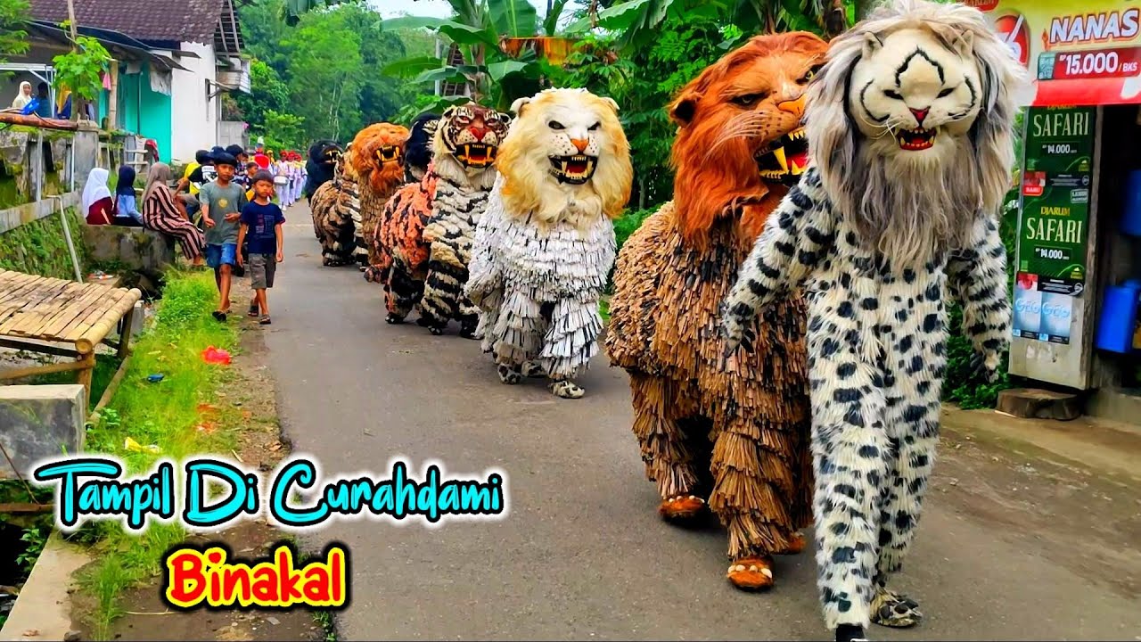 Can Macanan Singo Raung Cilik Di undang P. P AL FURQON acara KARNAVAL Di CURAHDAMI